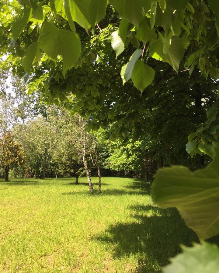 Happy Hill - Appartamento Bambu- Natura E Relax Santa Maria Rocca ภายนอก รูปภาพ