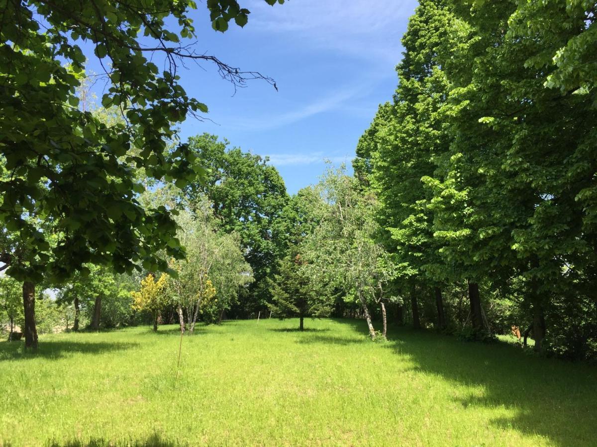 Happy Hill - Appartamento Bambu- Natura E Relax Santa Maria Rocca ภายนอก รูปภาพ