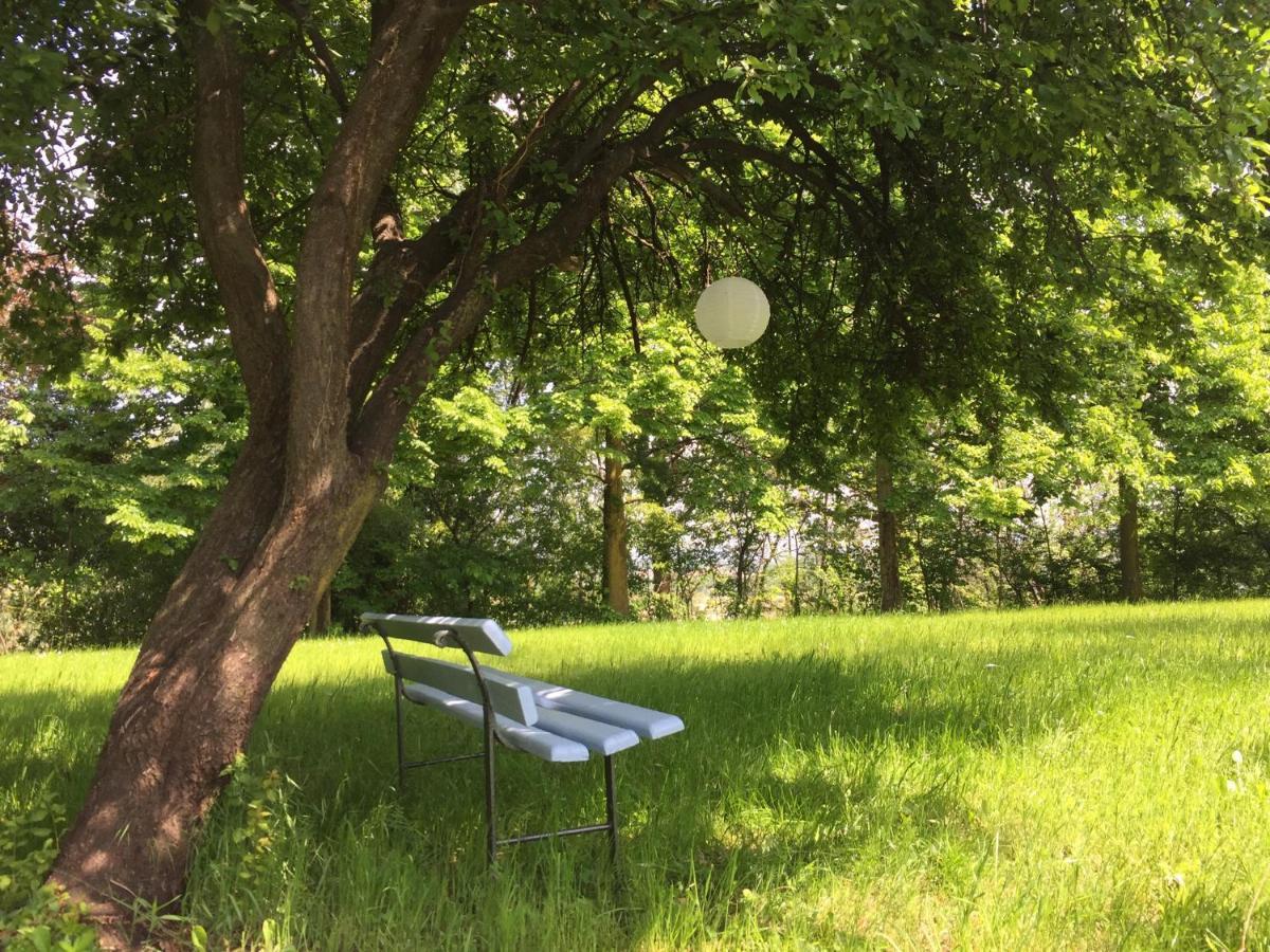 Happy Hill - Appartamento Bambu- Natura E Relax Santa Maria Rocca ภายนอก รูปภาพ